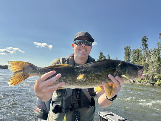 Walleye