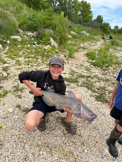 Channel Catfish