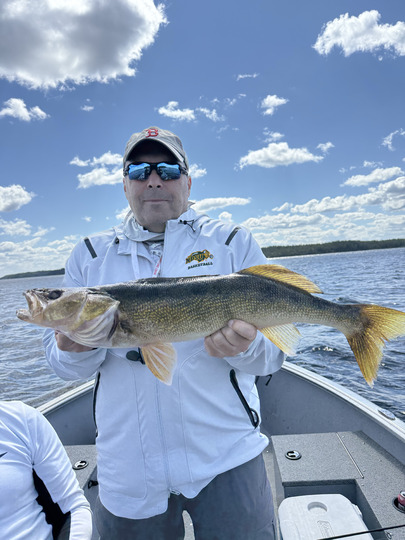 Walleye
