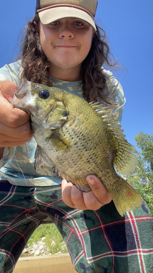 Rock Bass