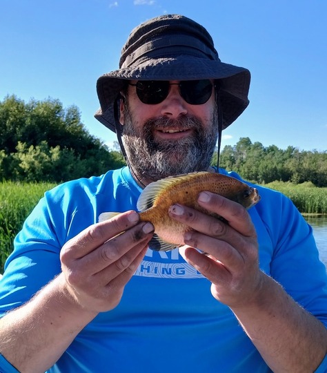 Sunfish