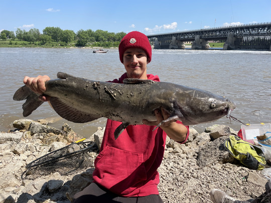 Channel Catfish