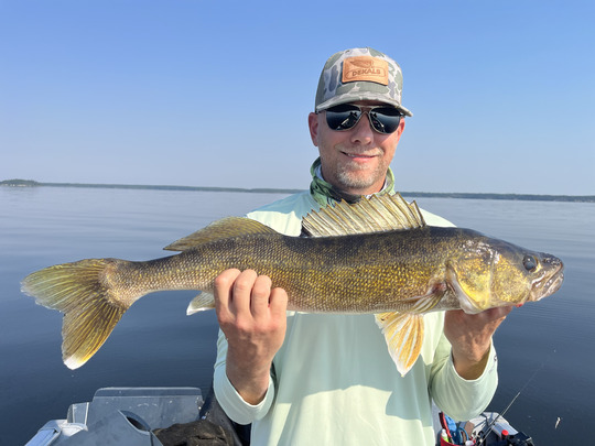 Walleye