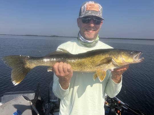 Walleye