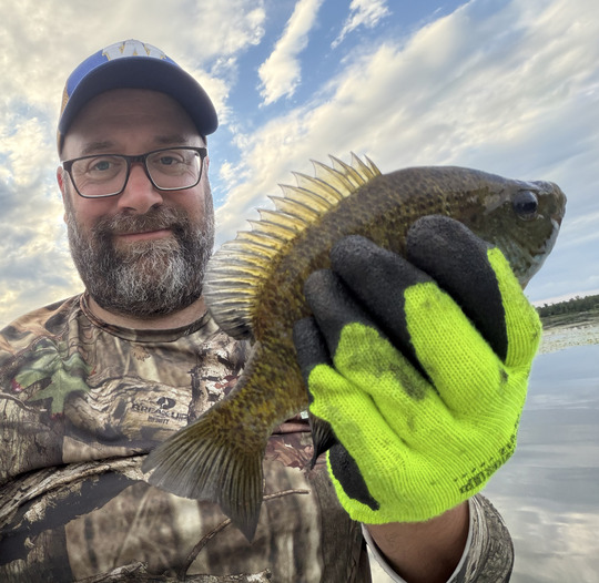 Sunfish