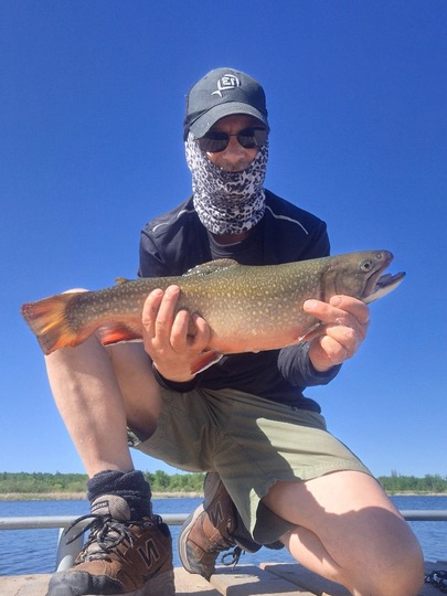 Brook Trout