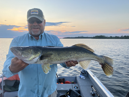 Walleye