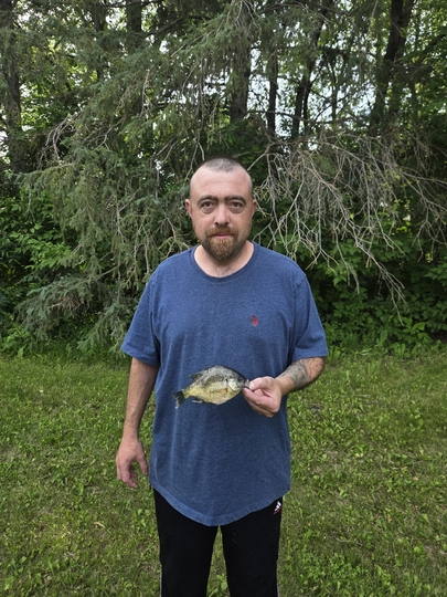 Sunfish