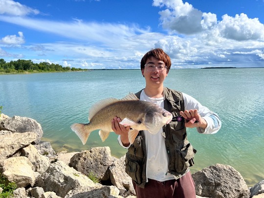 Freshwater Drum