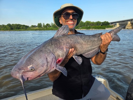 Channel Catfish