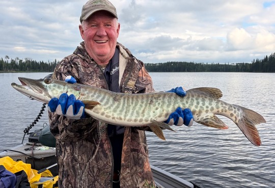 Muskellunge