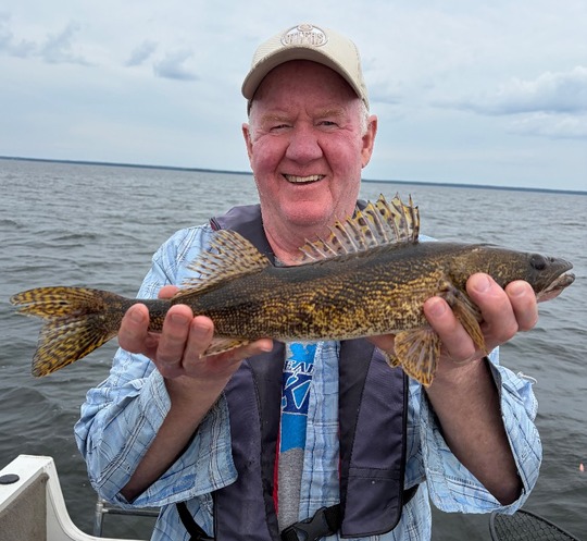 Sauger