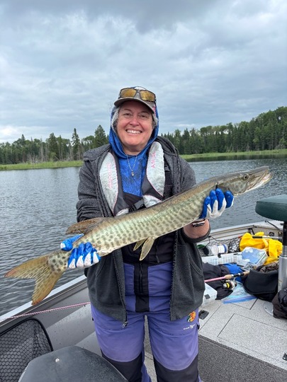 Muskellunge