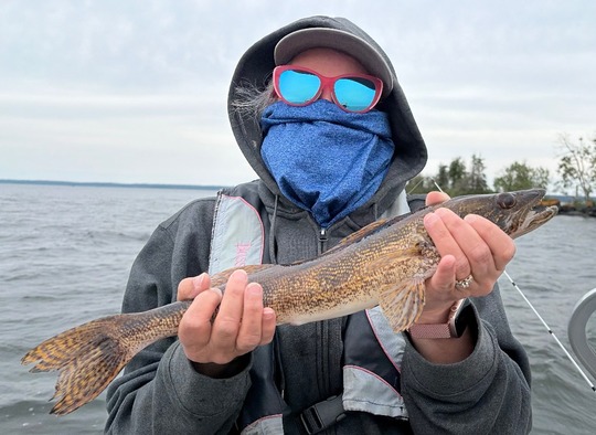 Sauger