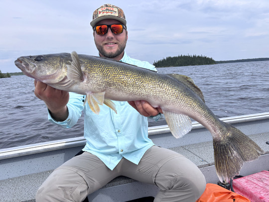 Walleye