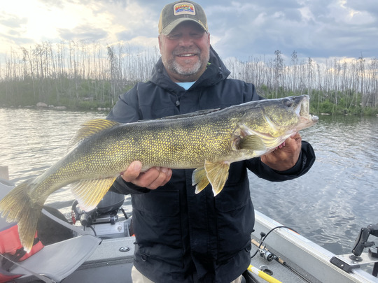 Walleye