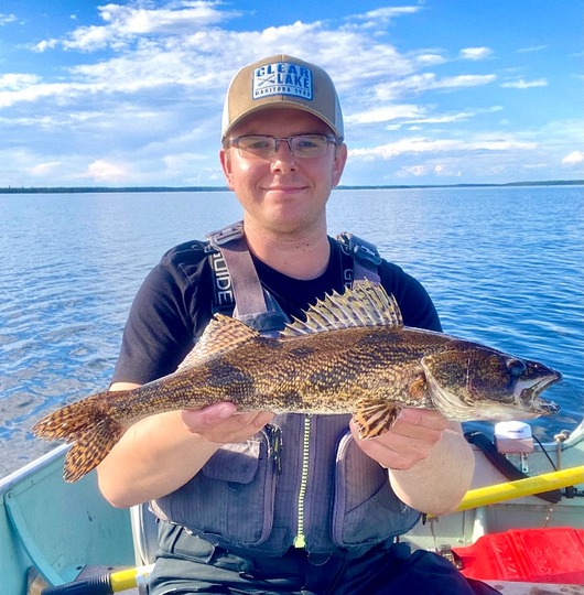 Sauger