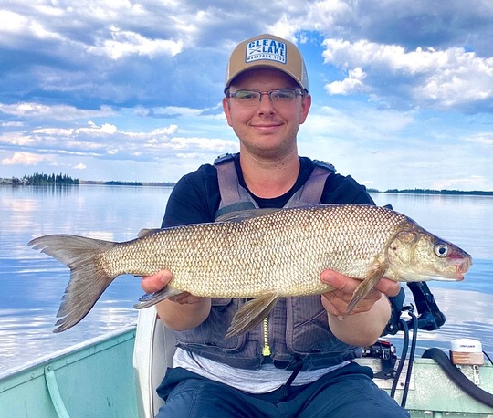 Lake Whitefish