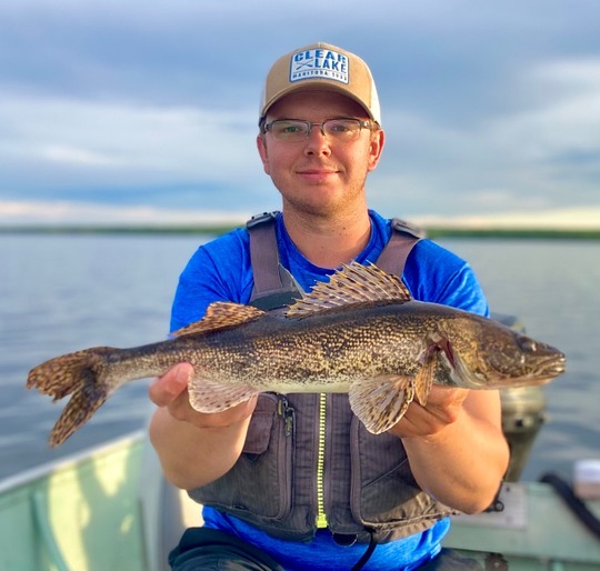 Sauger
