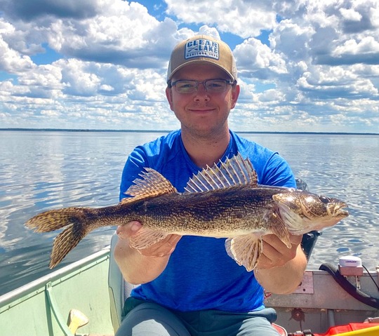 Sauger