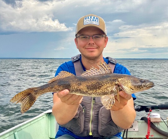 Sauger