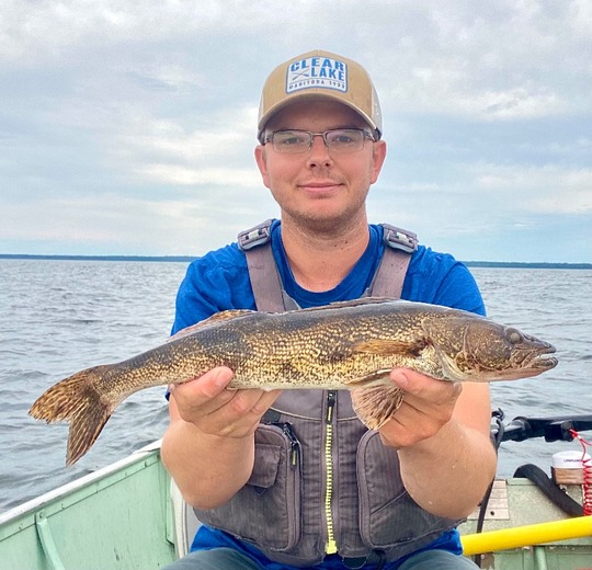 Sauger