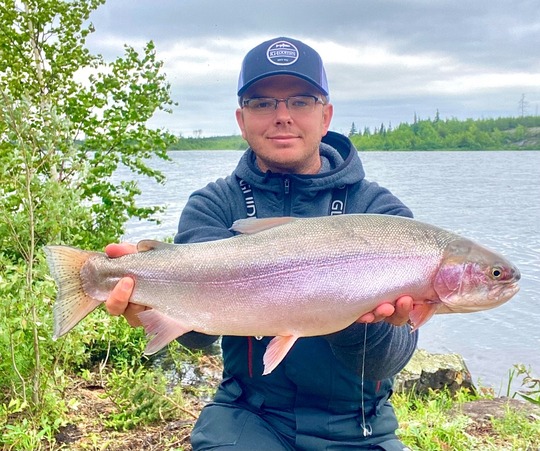 Rainbow Trout
