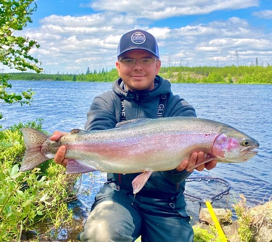 Rainbow Trout