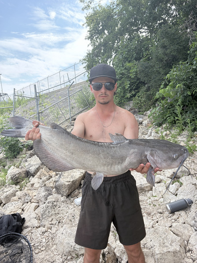 Channel Catfish