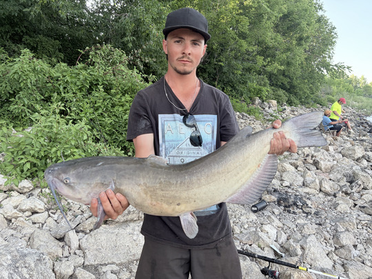 Channel Catfish