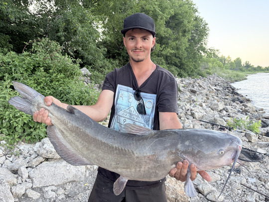 Channel Catfish