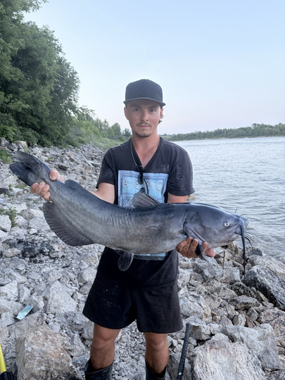 Channel Catfish