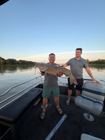 Channel Catfish