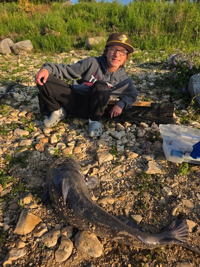 Channel Catfish