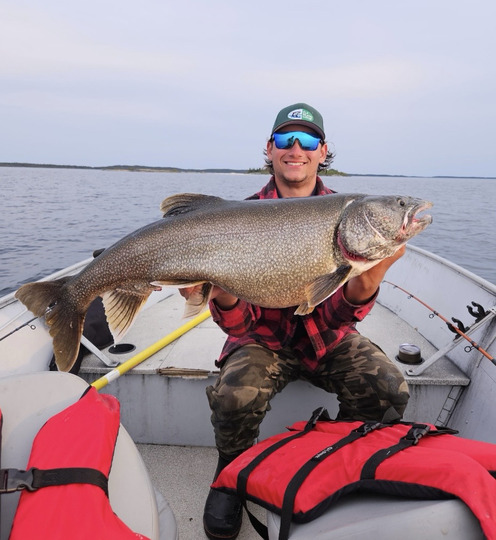 Lake Trout