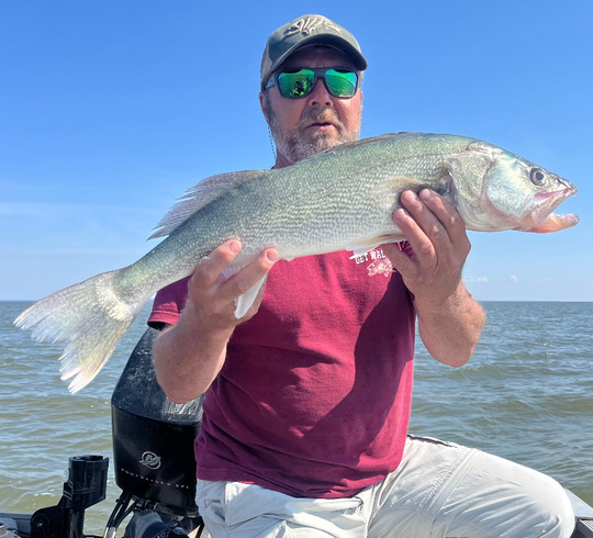 Walleye