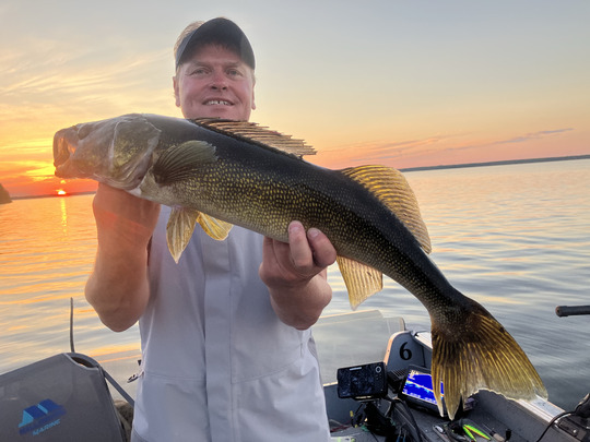Walleye