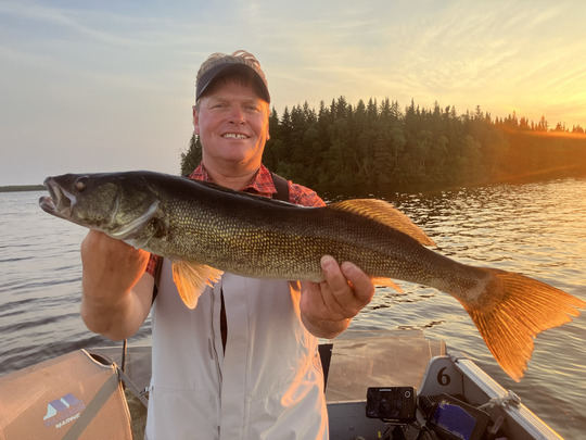 Walleye