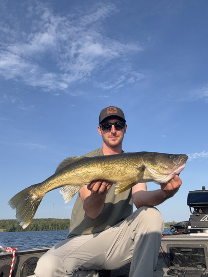 Walleye