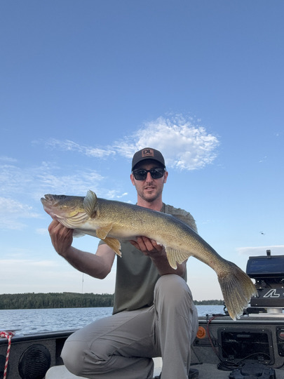 Walleye