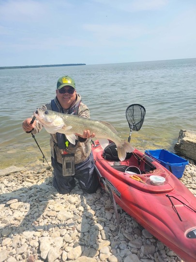 Walleye