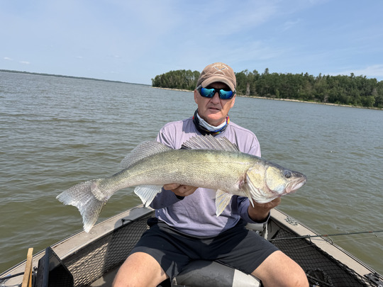 Walleye