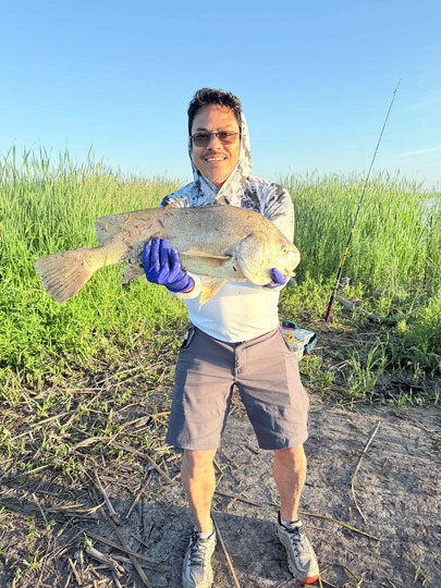 Freshwater Drum