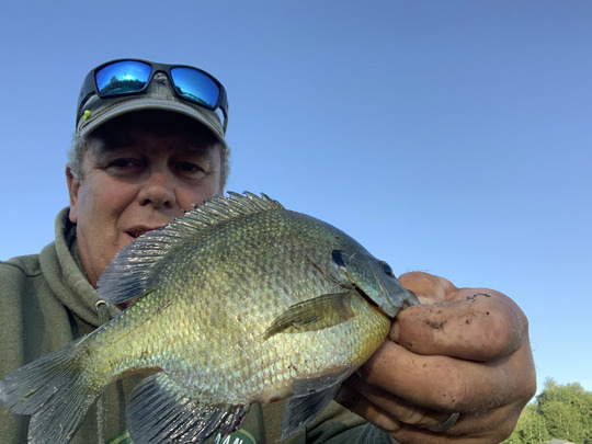 Sunfish
