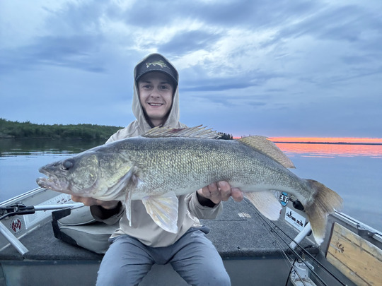 Walleye