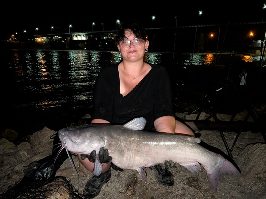 Channel Catfish