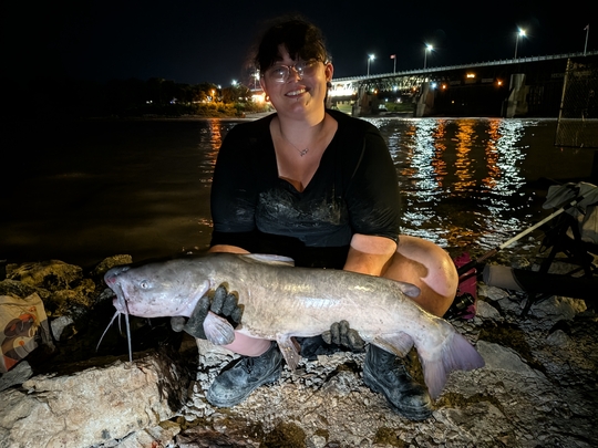Channel Catfish
