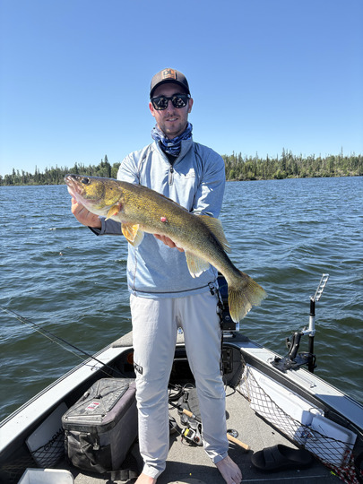 Walleye