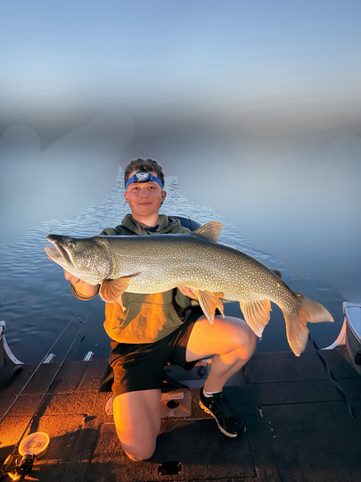 Lake Trout