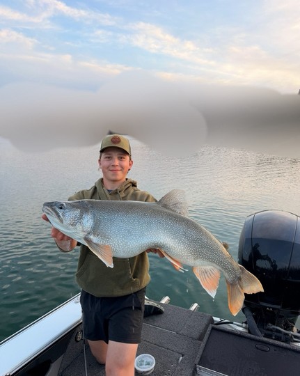 Lake Trout